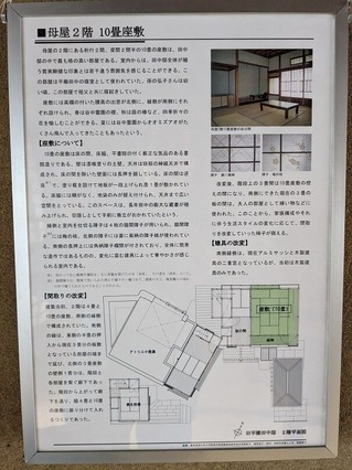 PXL_20240406_031446862