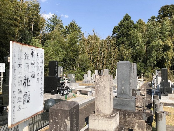 493456784_987093546969466_1140973373512888802_n