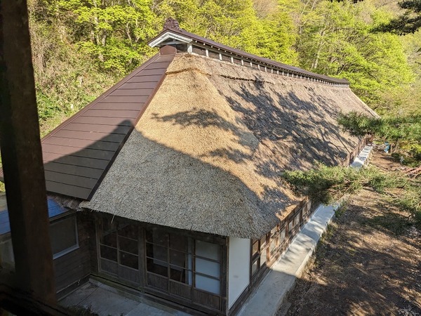 PXL_20230427_070623282