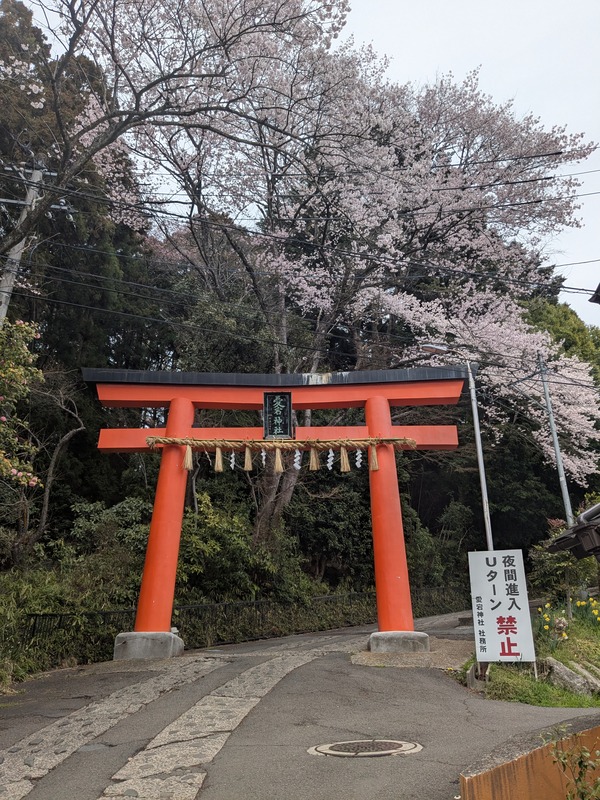 inbound3739724021476080580