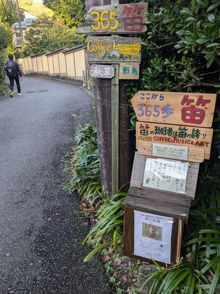 PXL_20241117_063235451