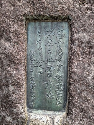 PXL_20250428_023039684