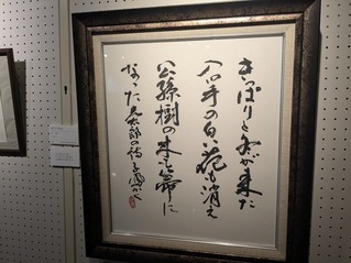 PXL_20260221_050315576