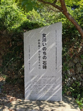 PXL_20250808_234055222.MP