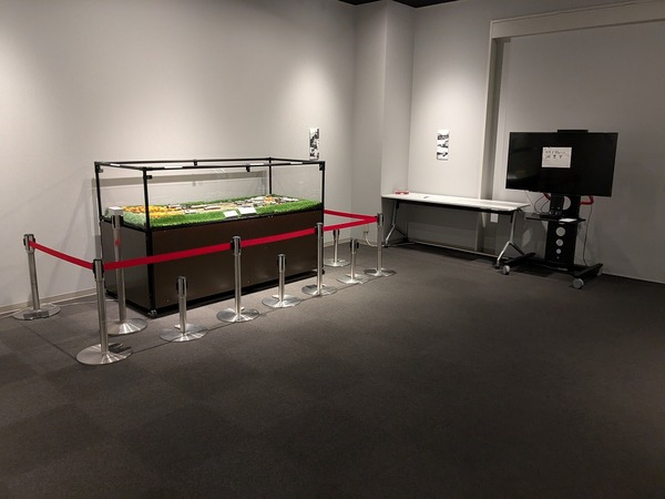 PXL_20250723_000737158