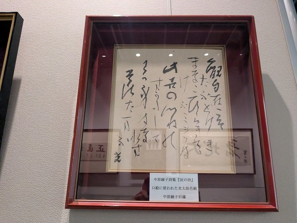 PXL_20250620_070300834