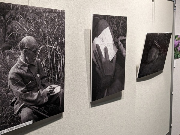 PXL_20240608_064409775