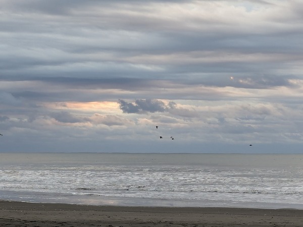 PXL_20251231_220027681