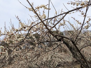 PXL_20250312_014930009