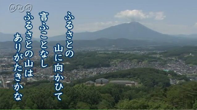 イメージ 7