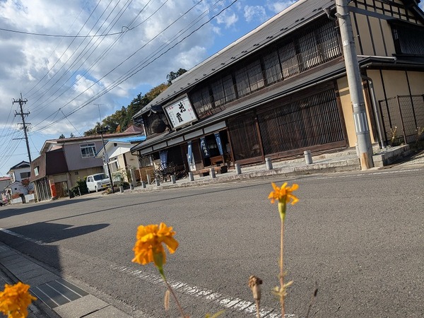 PXL_20251107_030851253.MP