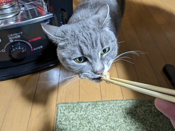 PXL_20230215_095520278.MP