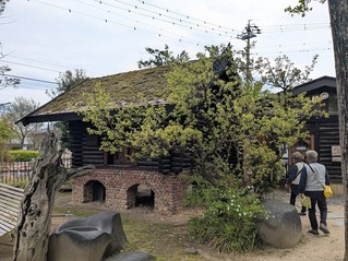 PXL_20260422_035939201