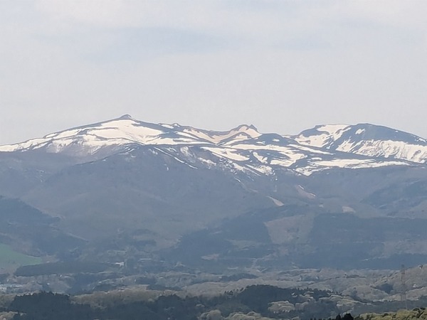 PXL_20250428_020800654