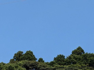 PXL_20240705_011345933