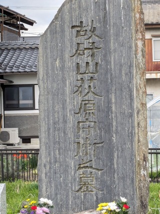 PXL_20240422_072410640