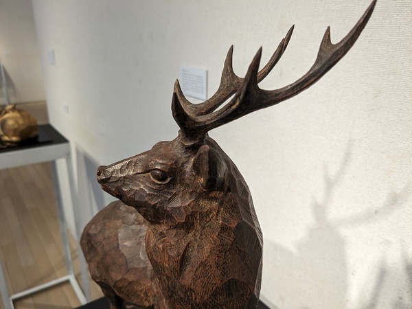 PXL_20240308_045659273