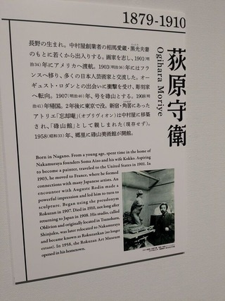 PXL_20260117_022031092.MP