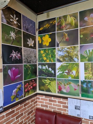 PXL_20250722_050848506.MP