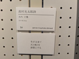 PXL_20260221_050310990