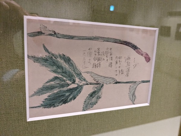 PXL_20240608_064314379