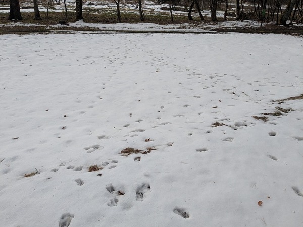 PXL_20251215_235303559