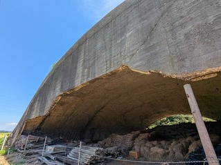 PXL_20250815_020559396