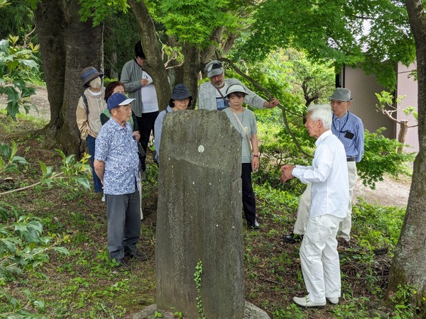 PXL_20240519_020249162