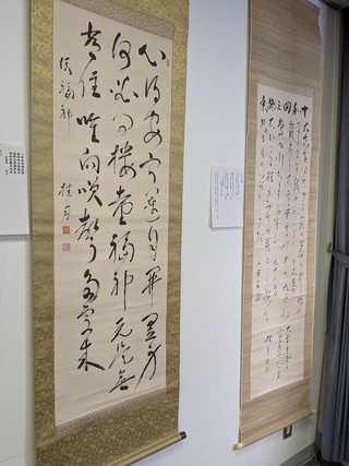 PXL_20251130_015246773