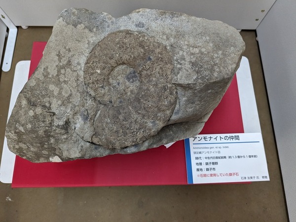 PXL_20231114_023419115.MP