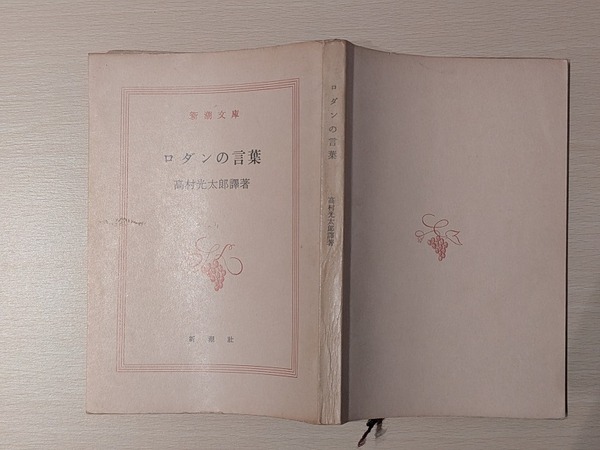 PXL_20260207_131830294