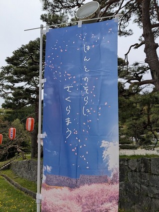 PXL_20250428_014601925.MP