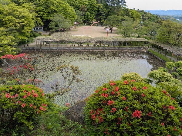 PXL_20250428_013259734