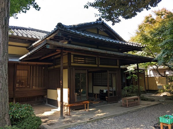 PXL_20221103_021544734