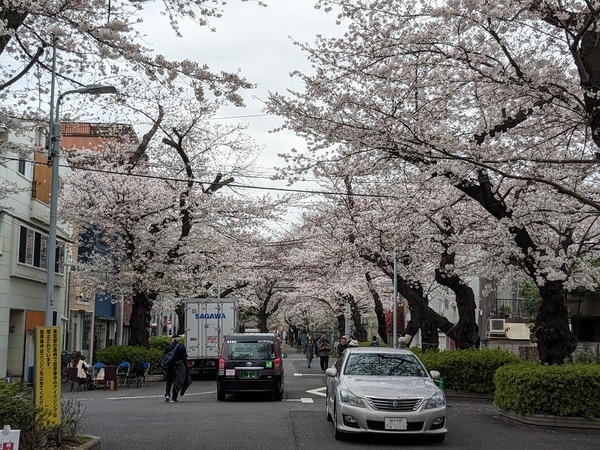 PXL_20240406_030524514