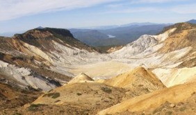 A3393931-045C-4BA2-9DB3-5149825A25A0-e1609226128695