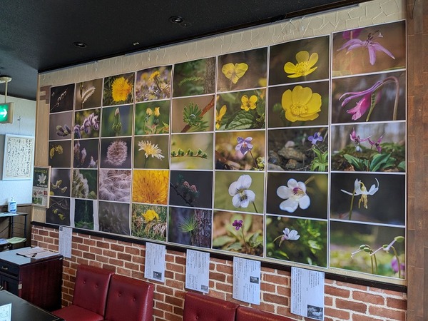 PXL_20250722_050904164