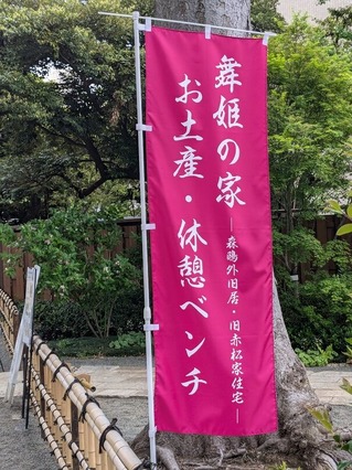 PXL_20260429_054948196.MP