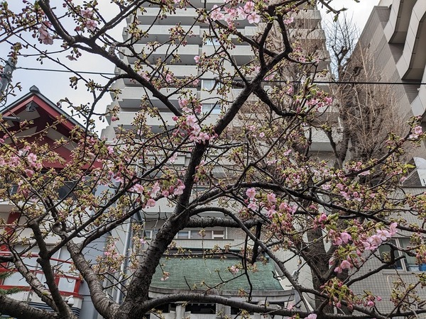 PXL_20230219_033416226