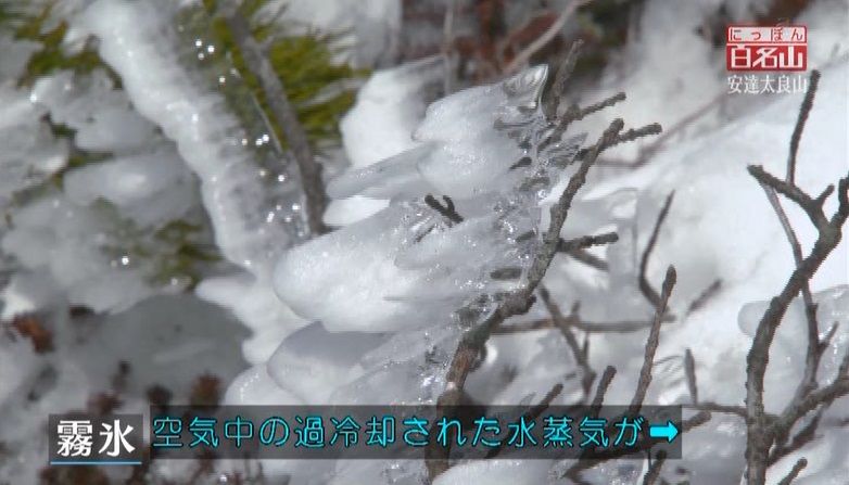 イメージ 17