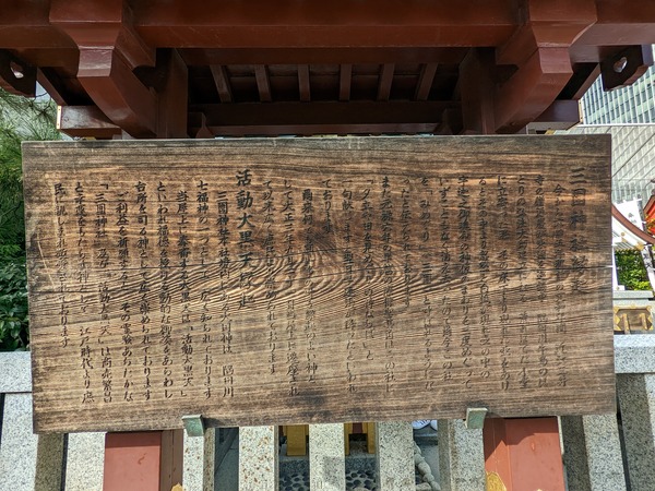 PXL_20221110_044633968