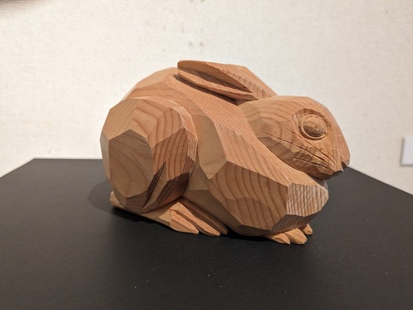 PXL_20240308_045606687