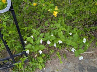 PXL_20260422_063034328