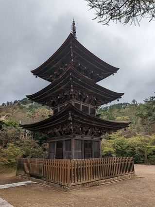 PXL_20240422_010441082