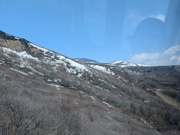 PXL_20250426_020627312