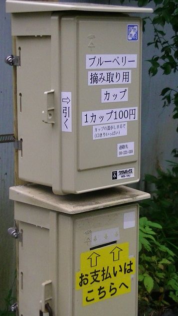 イメージ 7