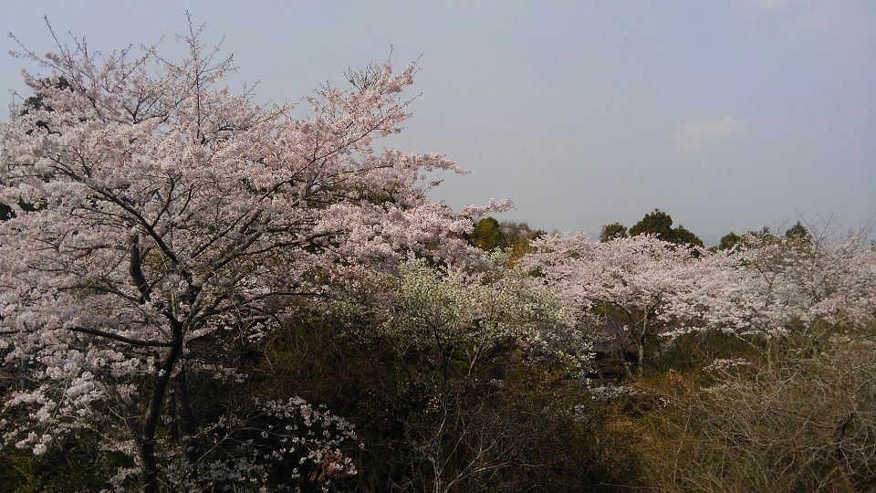 イメージ 23