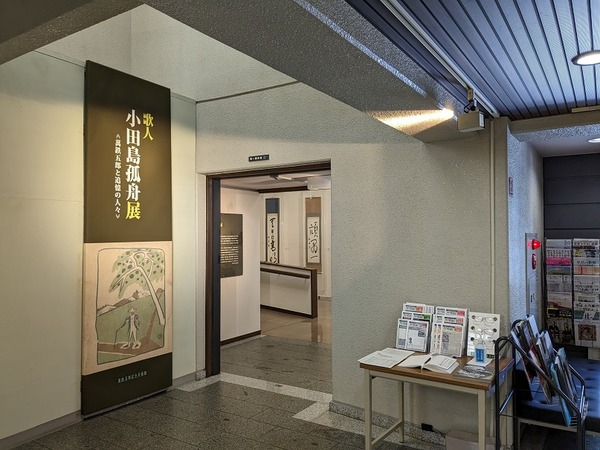 PXL_20230215_020906209