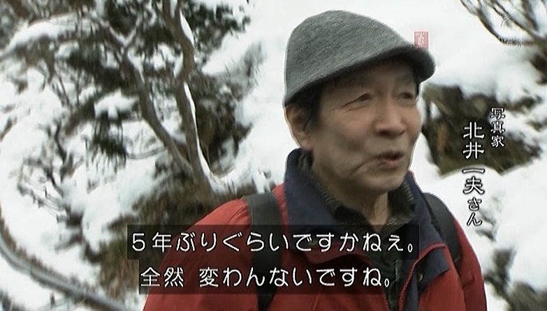 イメージ 14