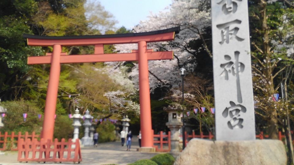 イメージ 4